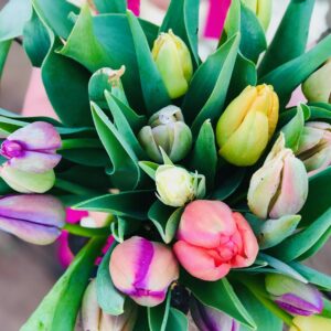 Bouquet Club - Spring - 5 Week Flower Subscription